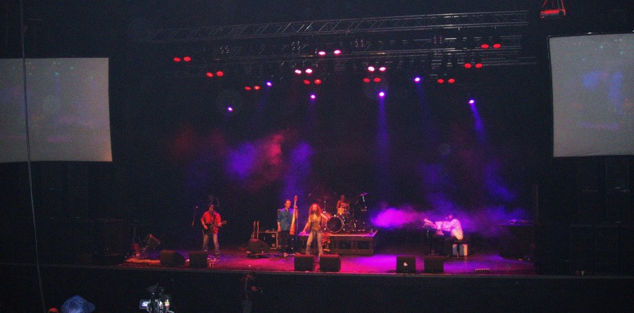 concert performance